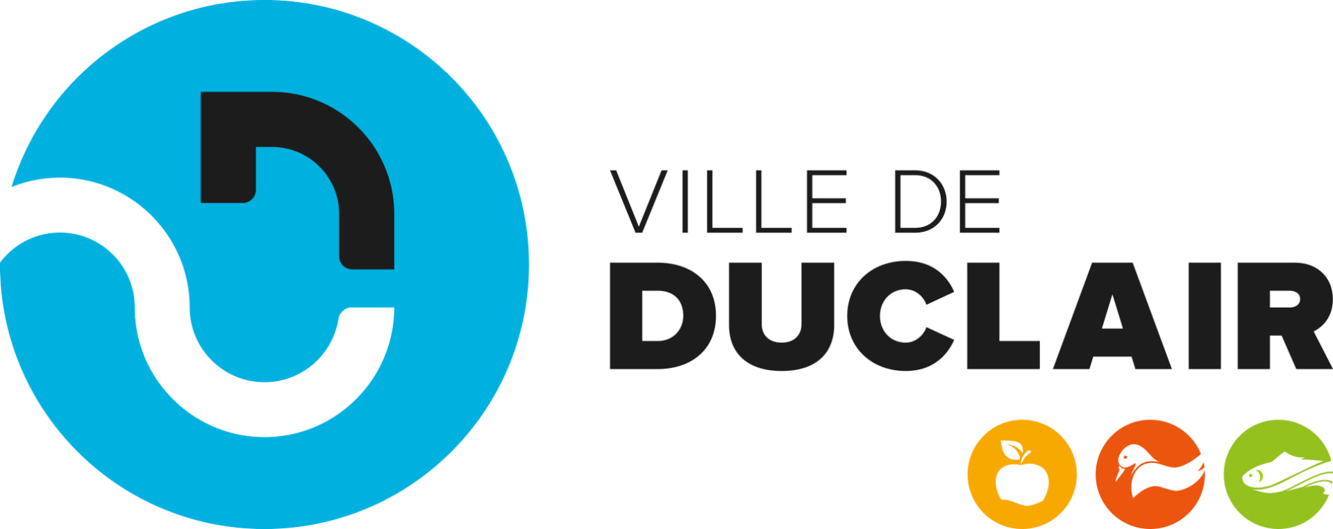 Ville de Duclair